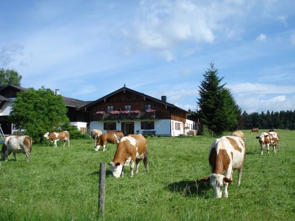 Unser Bauernhof Fink Hof