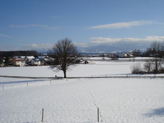 Winter am Fink Hof