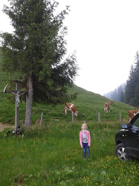 Unser Bauernhof Fink Hof