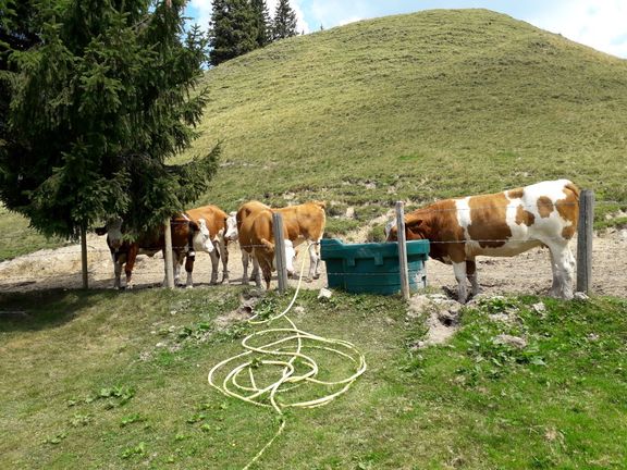 Unser Bauernhof Fink Hof