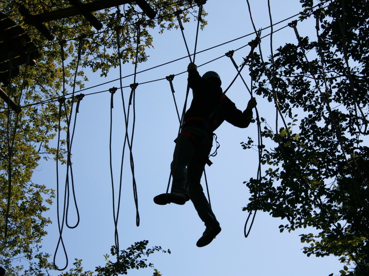 Kletterwald