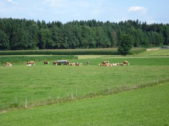 Unser Bauernhof Fink Hof